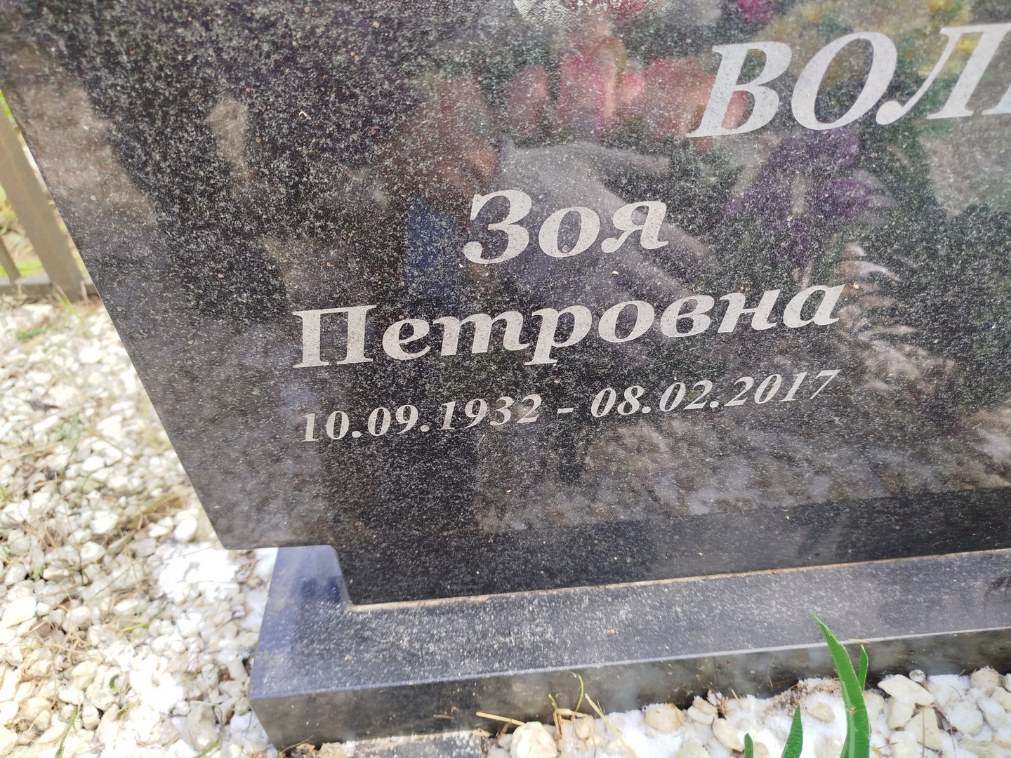 Волкова