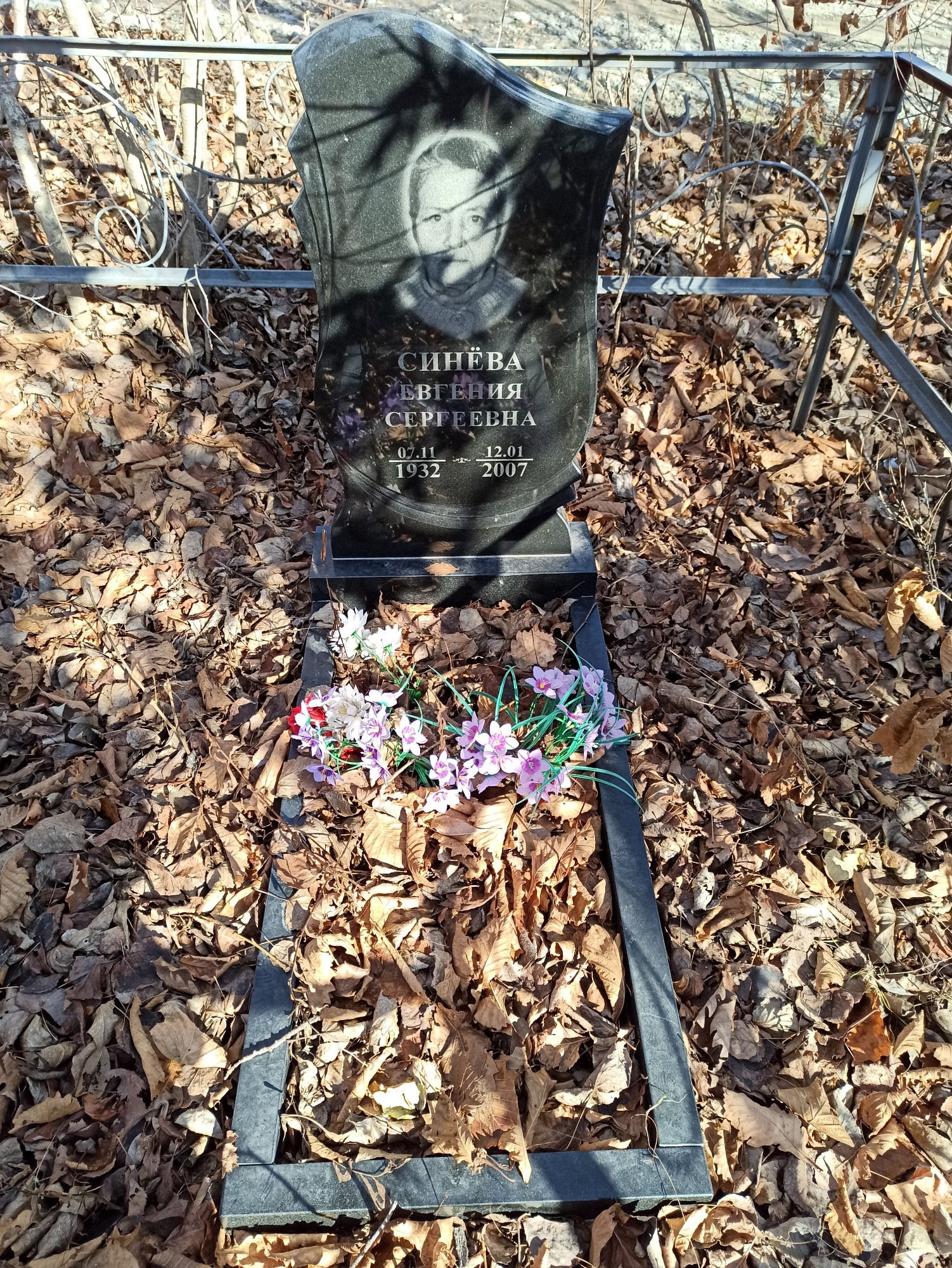 Синева Евгения Сергеевна