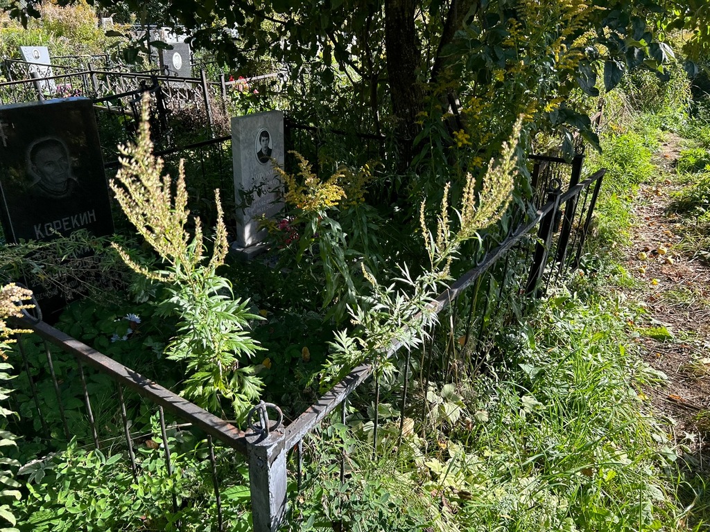 Корекин Александр Андреевич