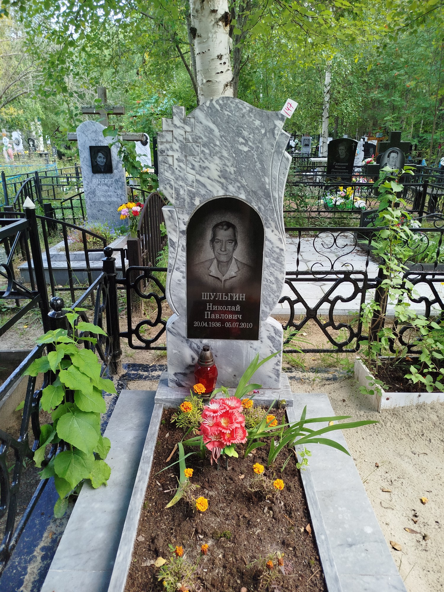 Шульгин Николай Павлович