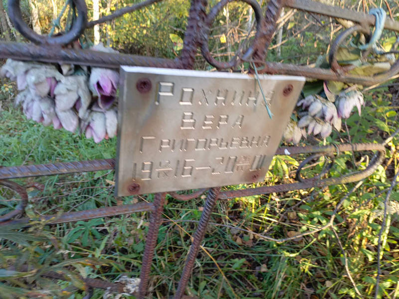 Рохнина