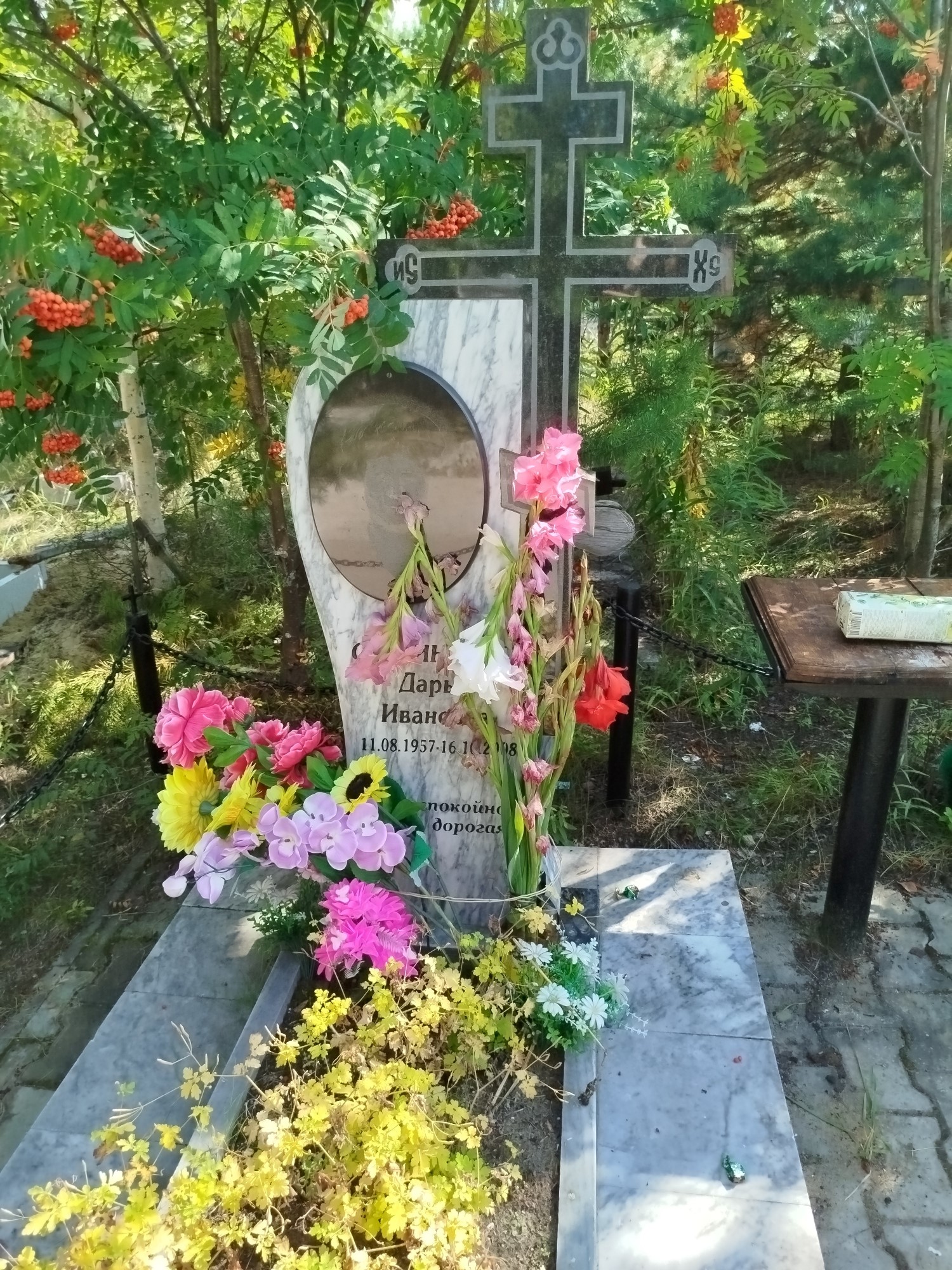 Студинская Дарья Ивановна
