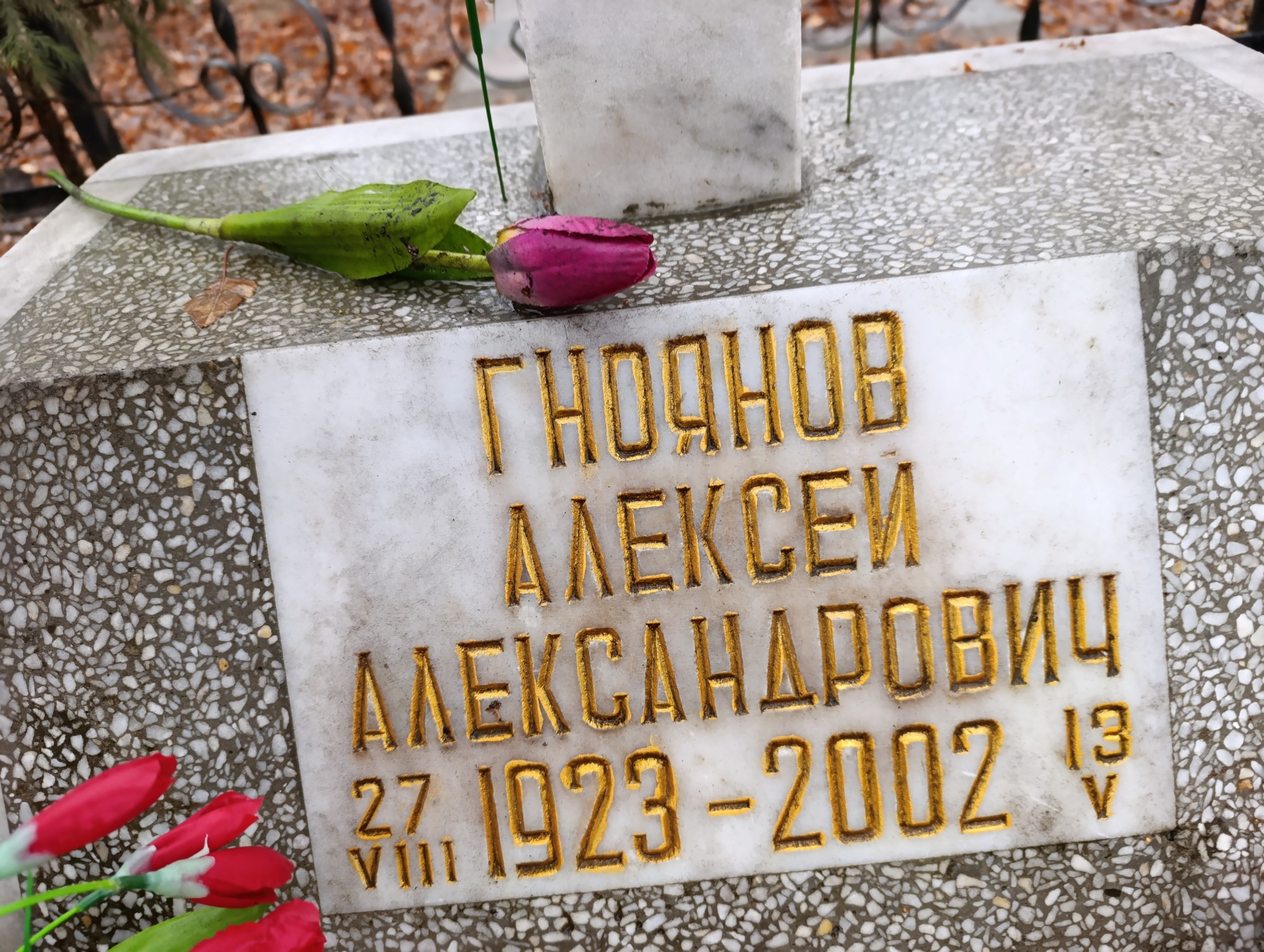 Гноянов Алексей Александрович