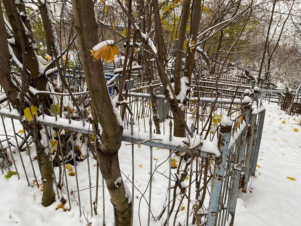 Половинкина Александра Васильевна