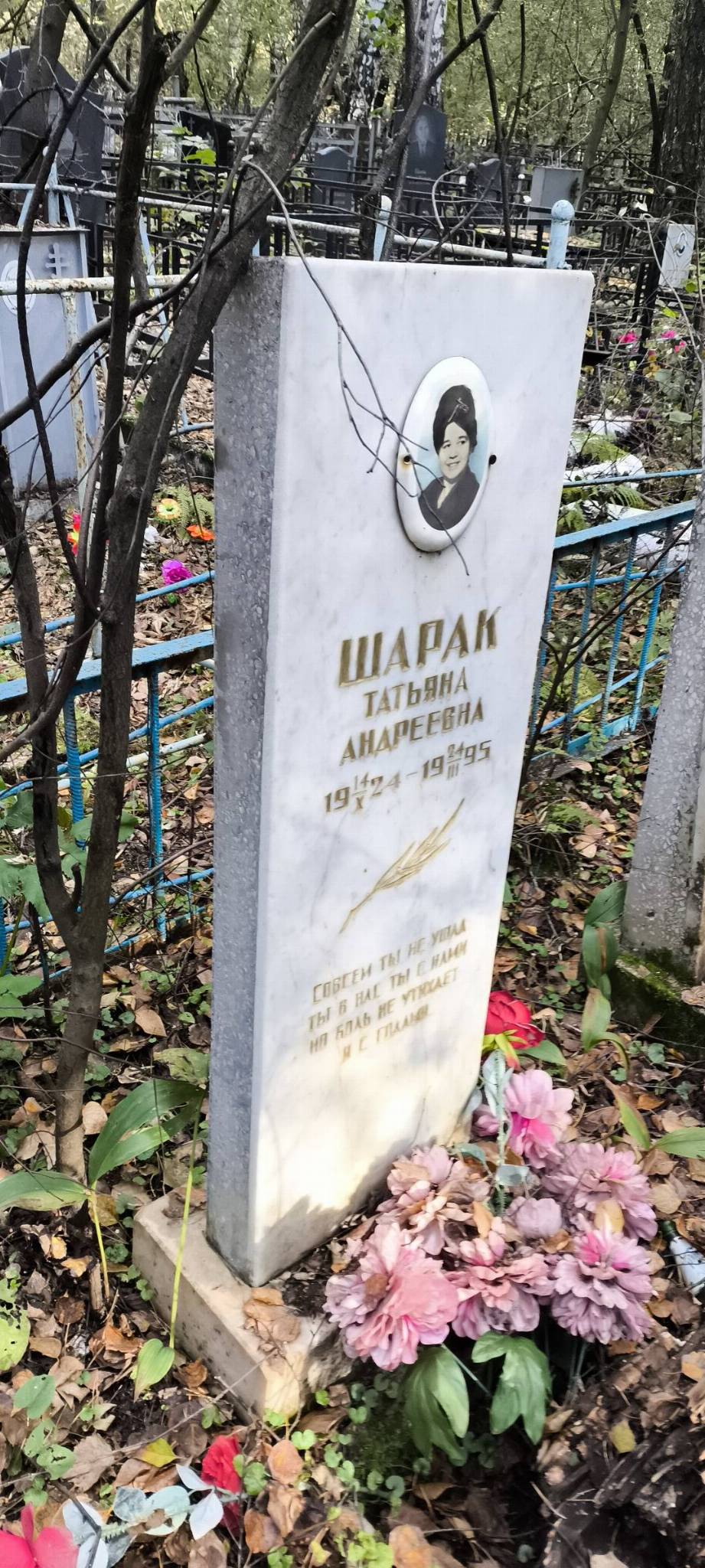 Шарак Татьяна Андреевна