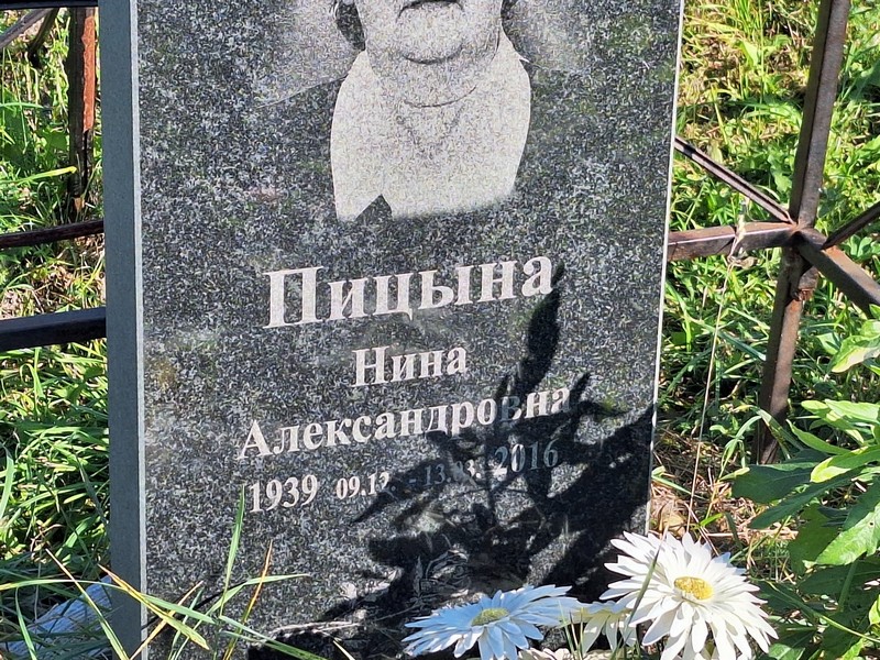 Пицына