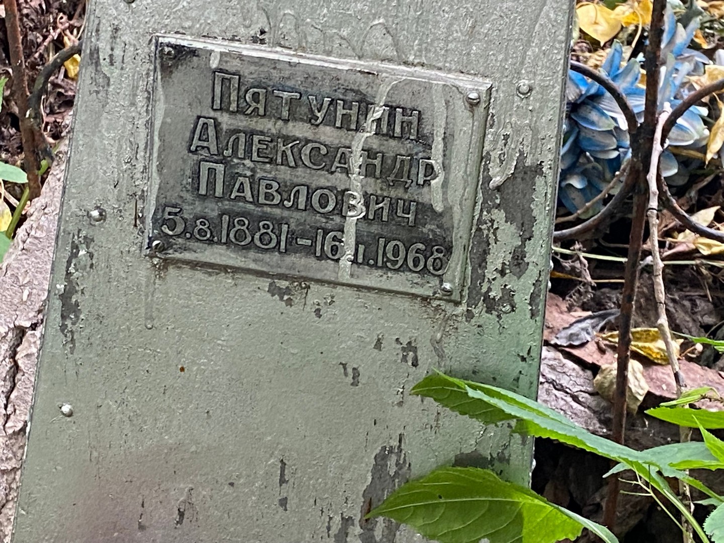 Пятунин