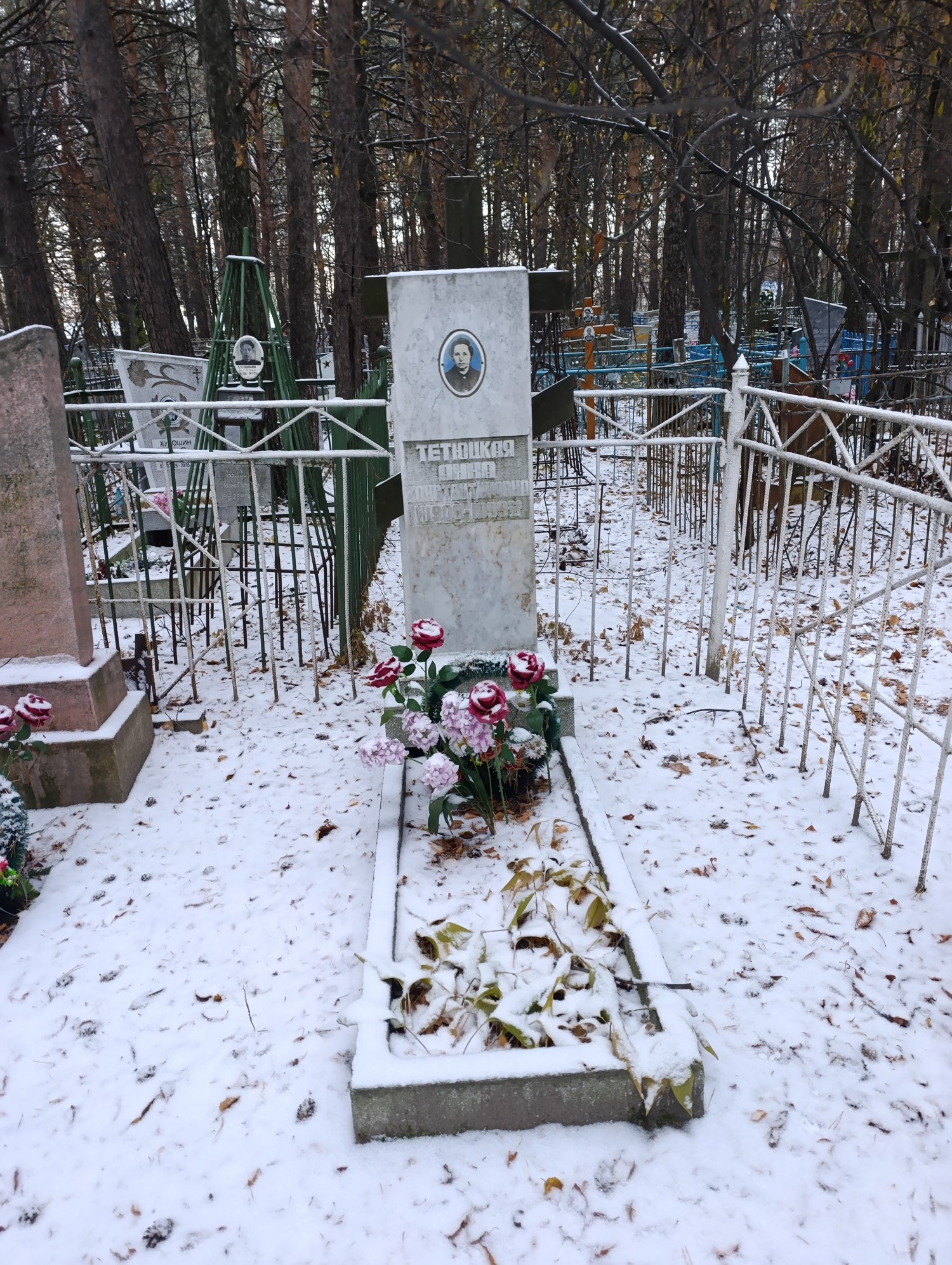 Тетюцкая Анна Константиновна