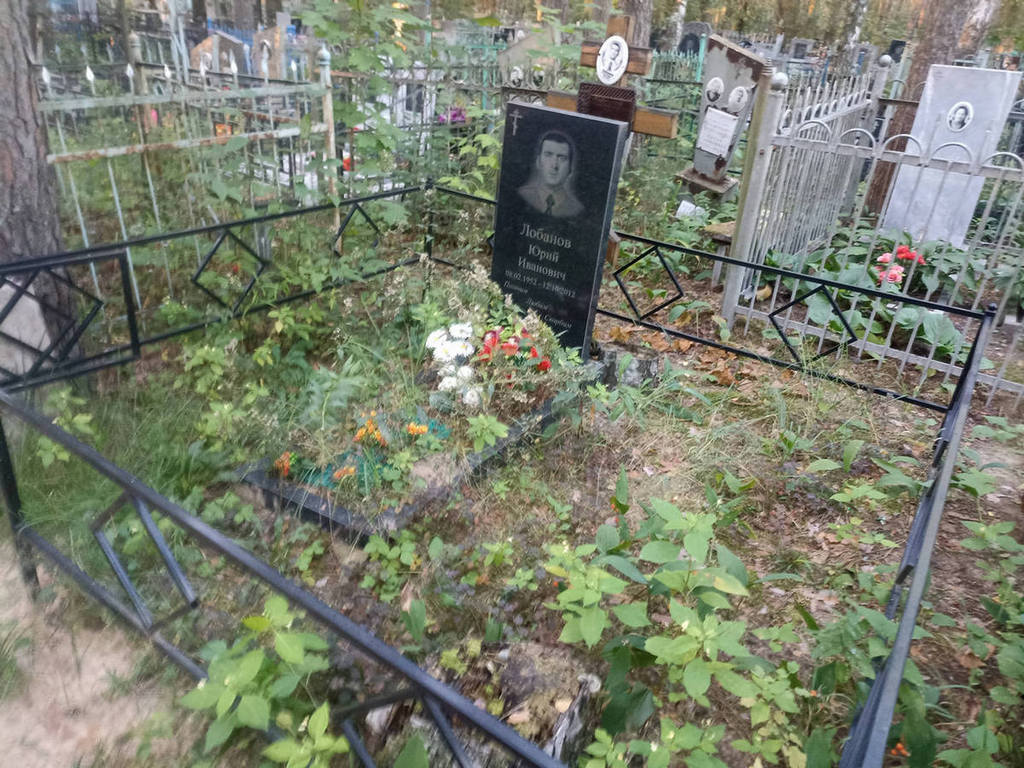 Лобанов Юрий Иванович