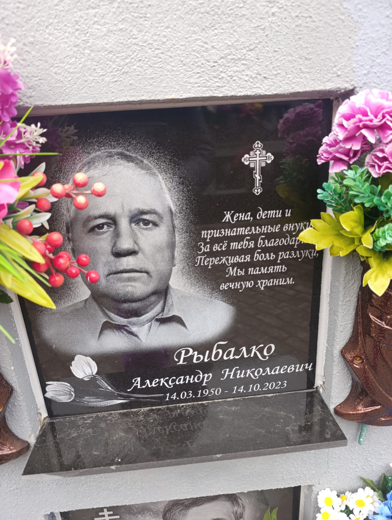 Рыбалко Александр Николаевич