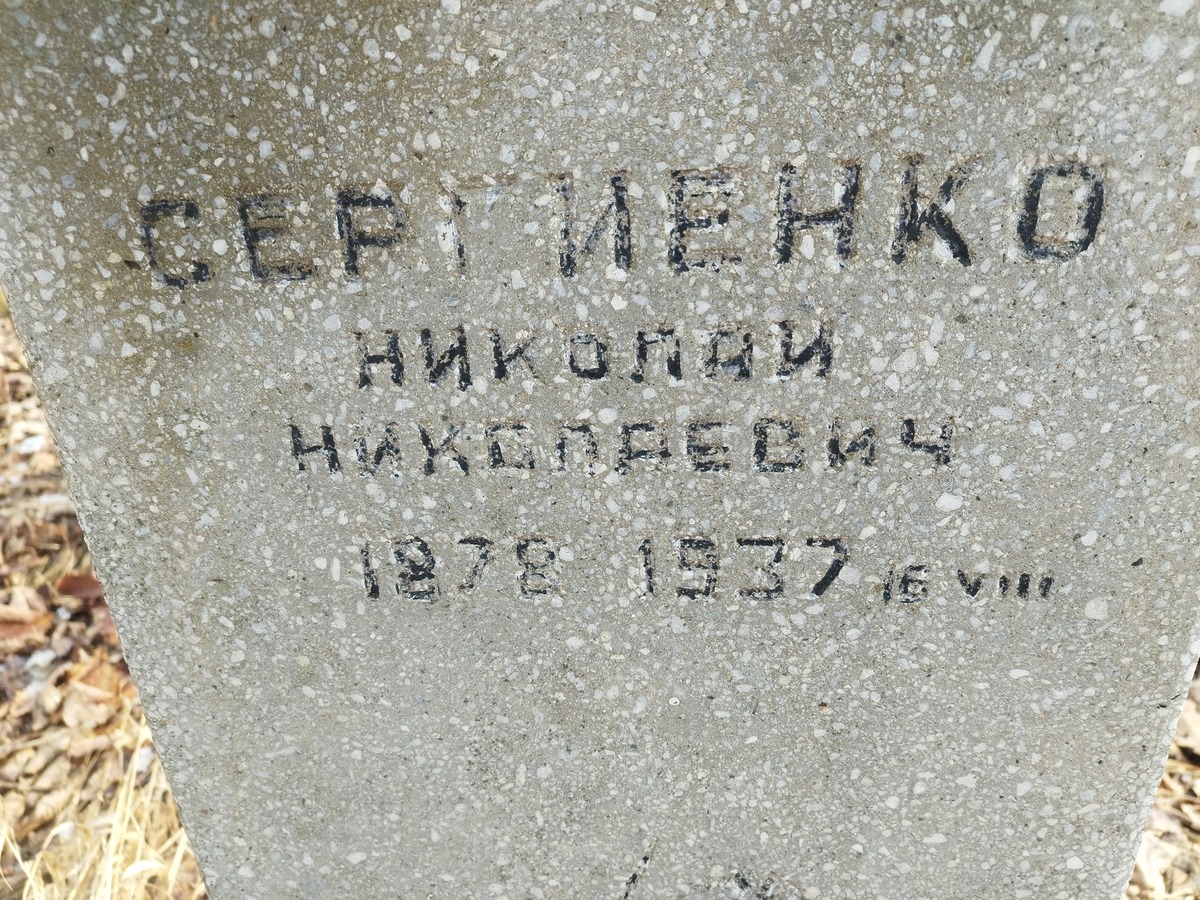 Сергиенко Николай Николаевич