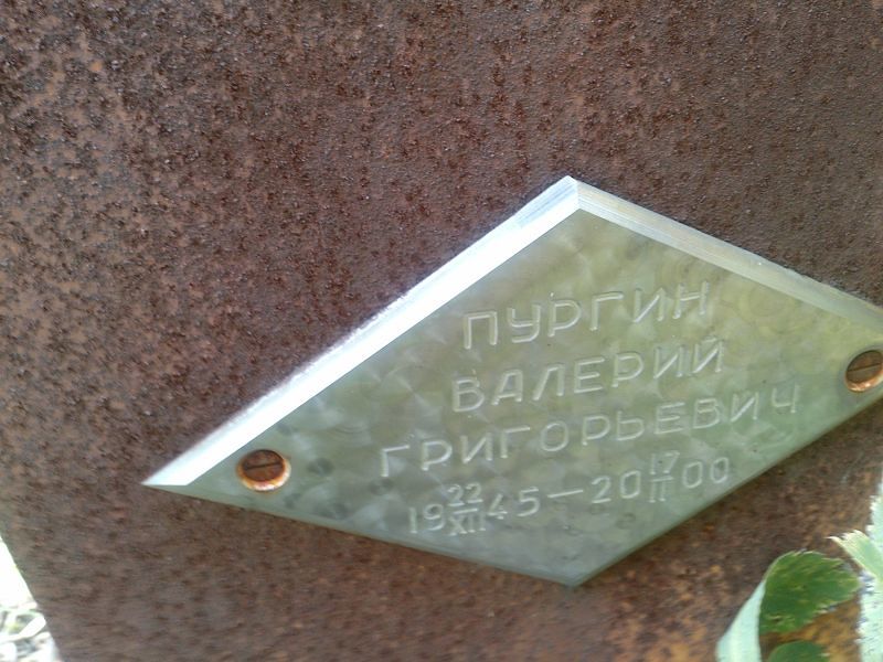 Пургин