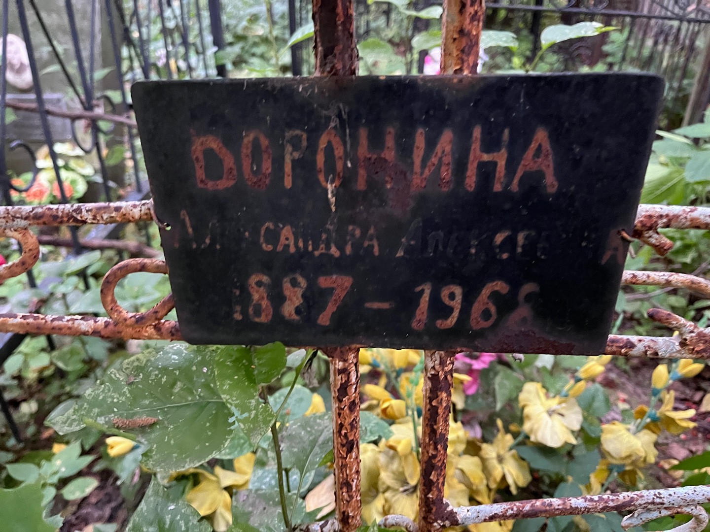 Доронина Александра Алексеевна