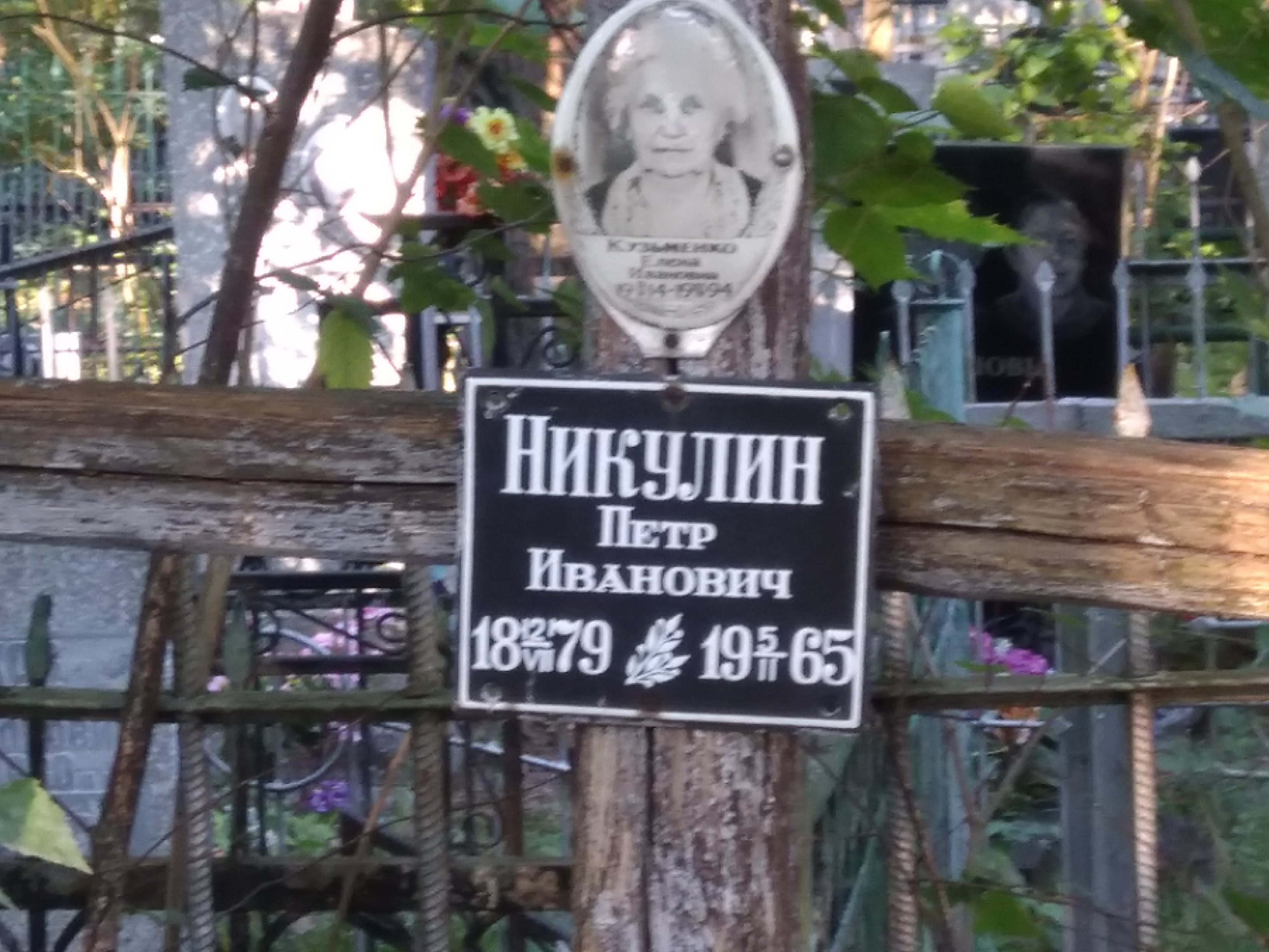Никулин Пётр Иванович