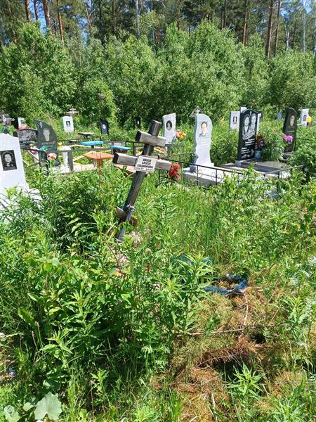 Швецов Алексей Владимирович