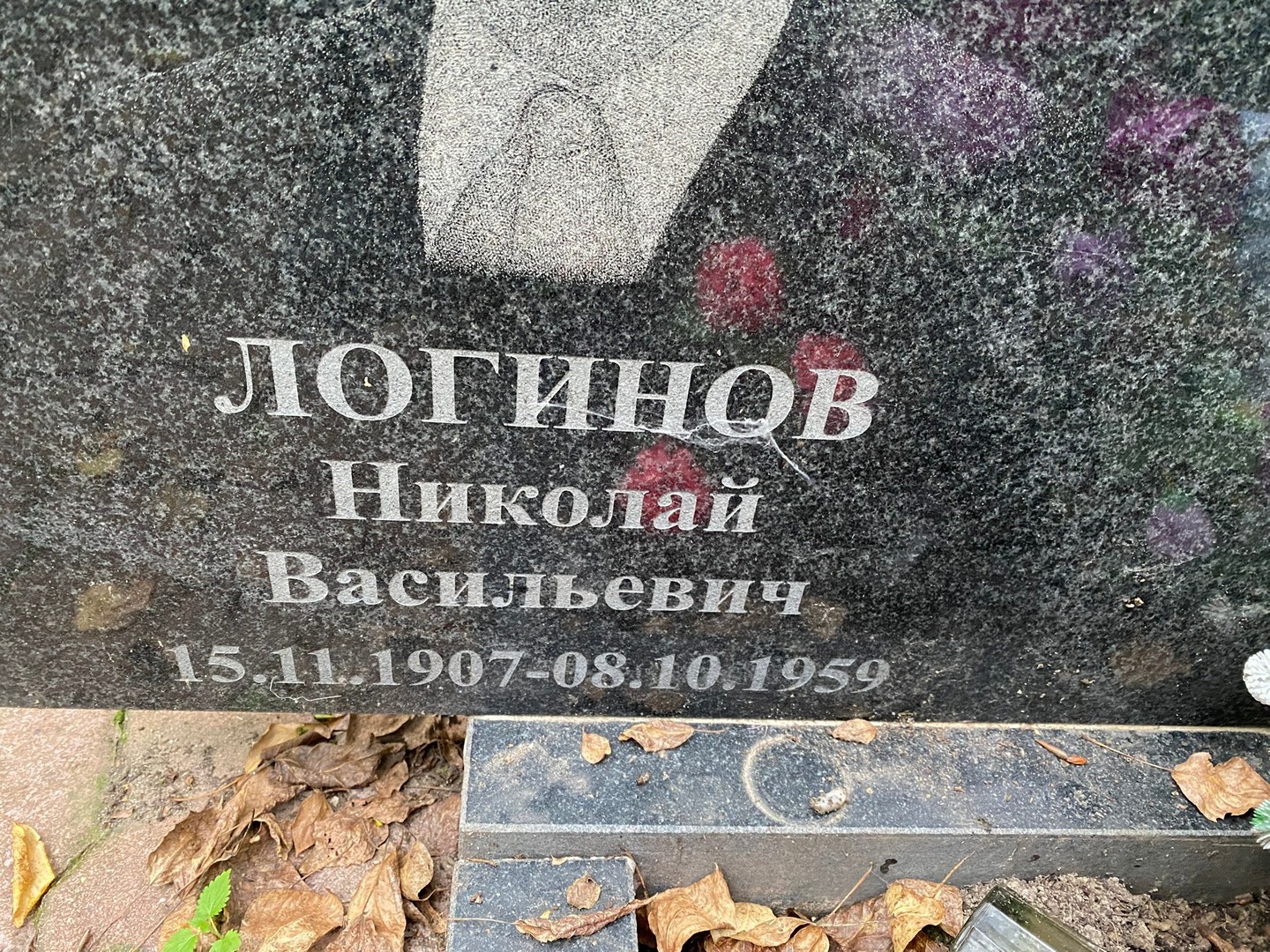 Логинов