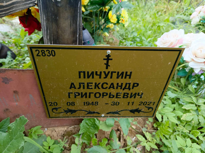Пичугин