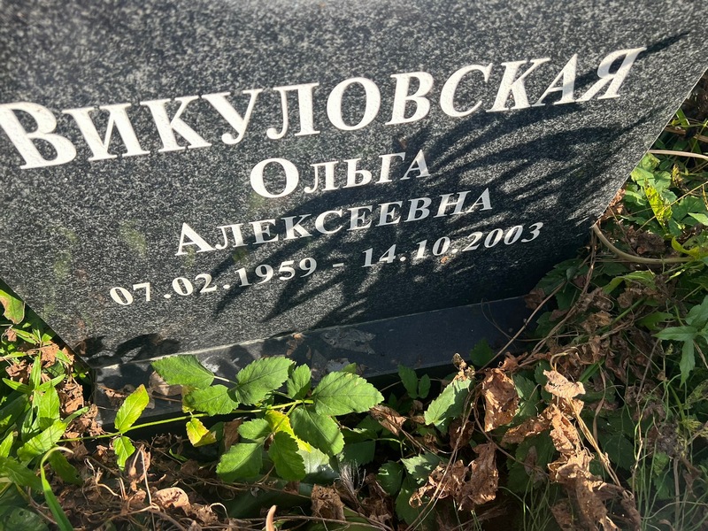 Викуловская
