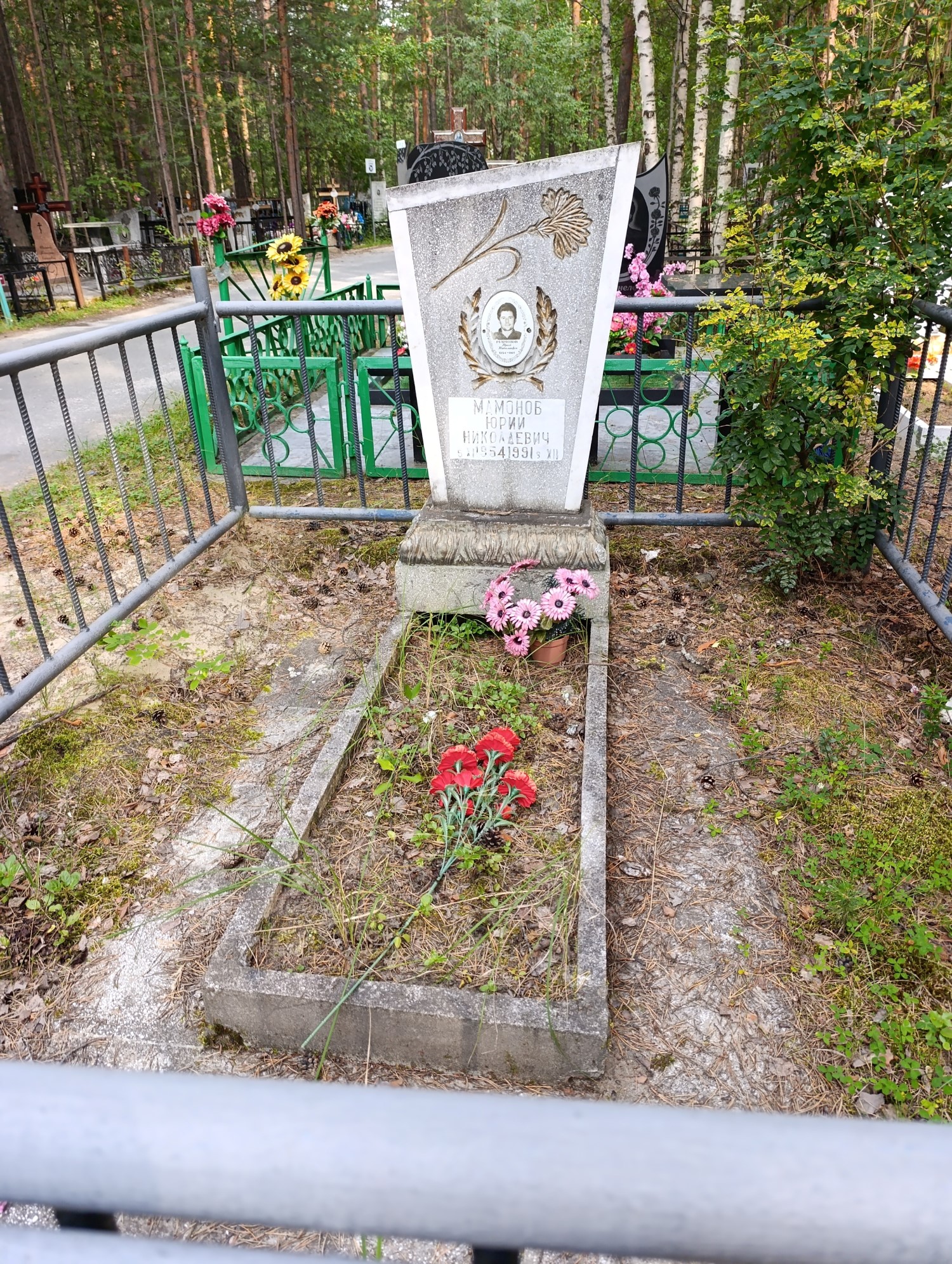 Мамонов Юрий Николаевич