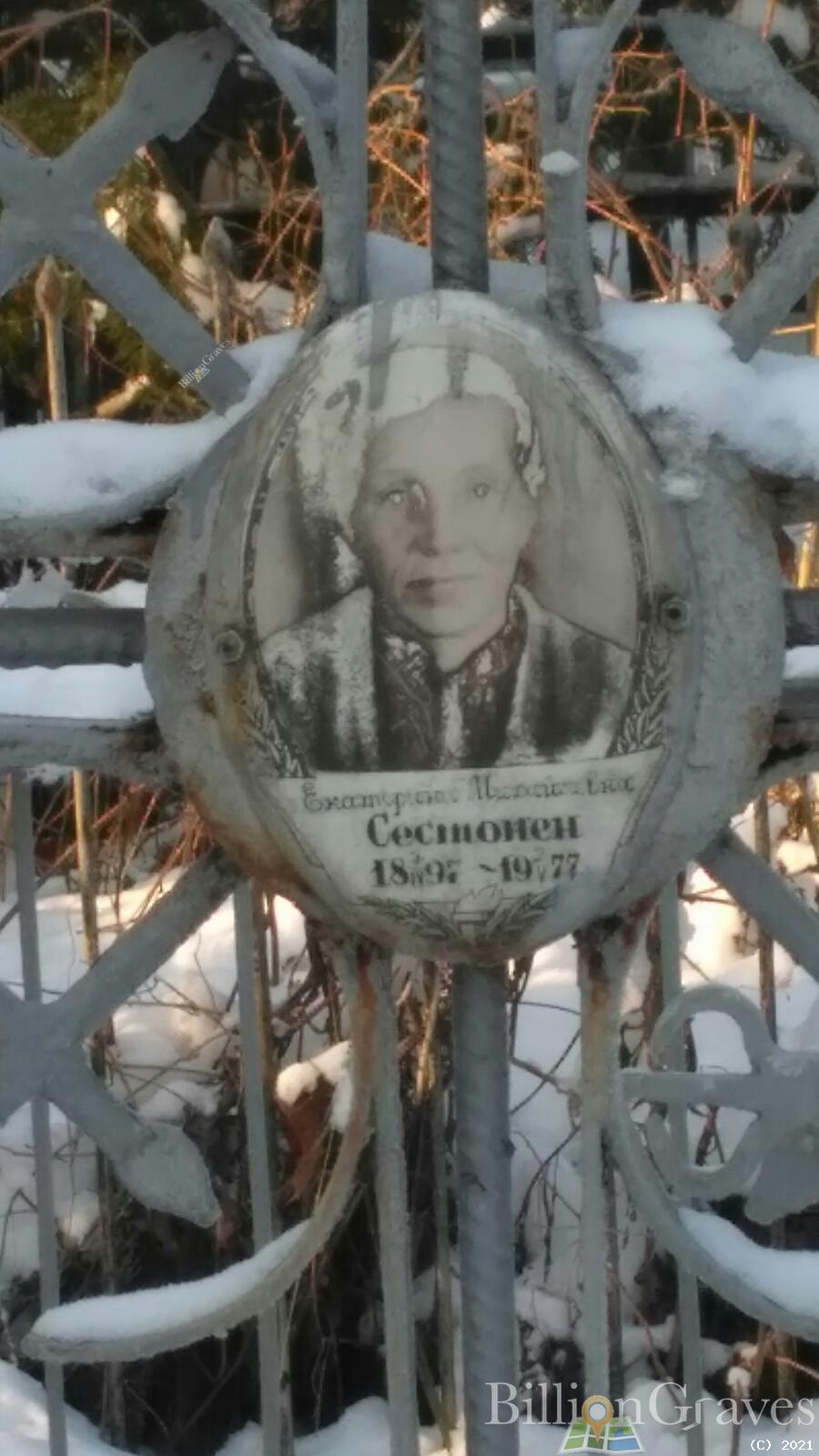 Сестонен Екатерина Михайловна