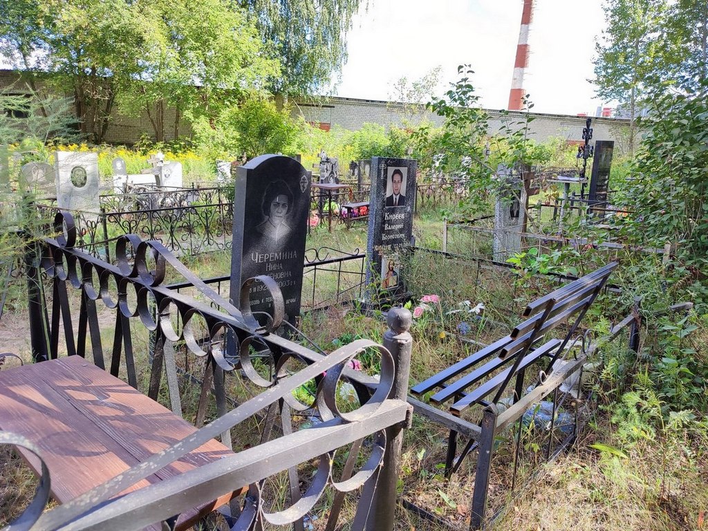 Черемина Нина Семеновна