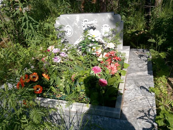 Чирухин Дмитрий Владимирович