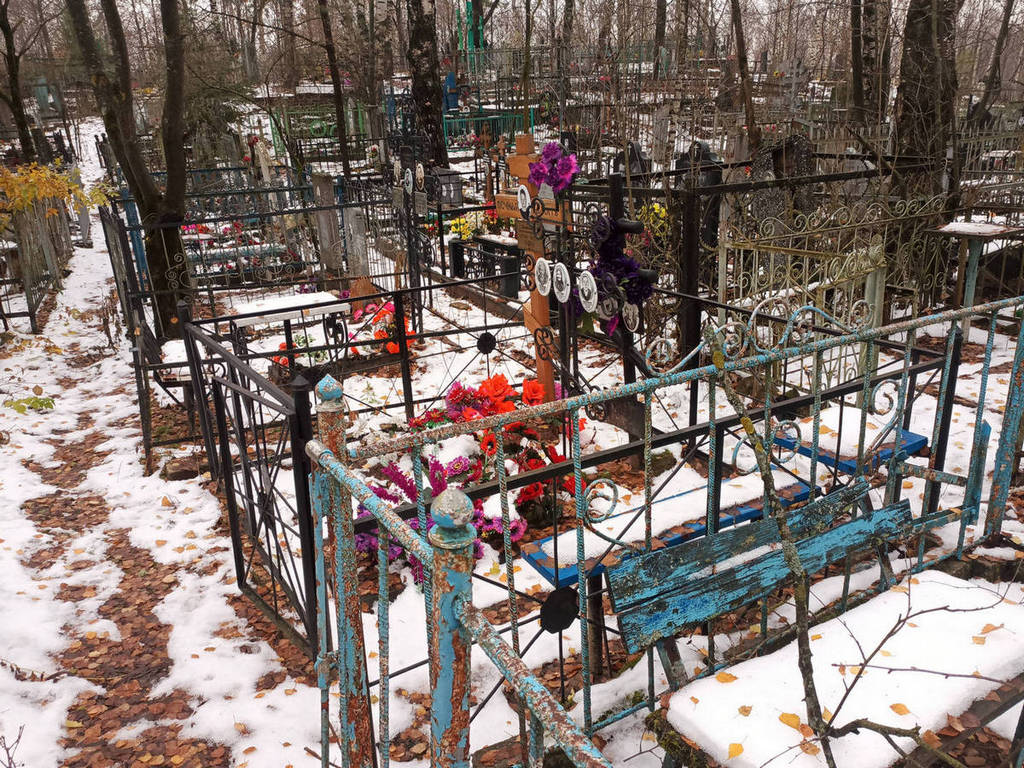 Павлычева Елизавета Петровна