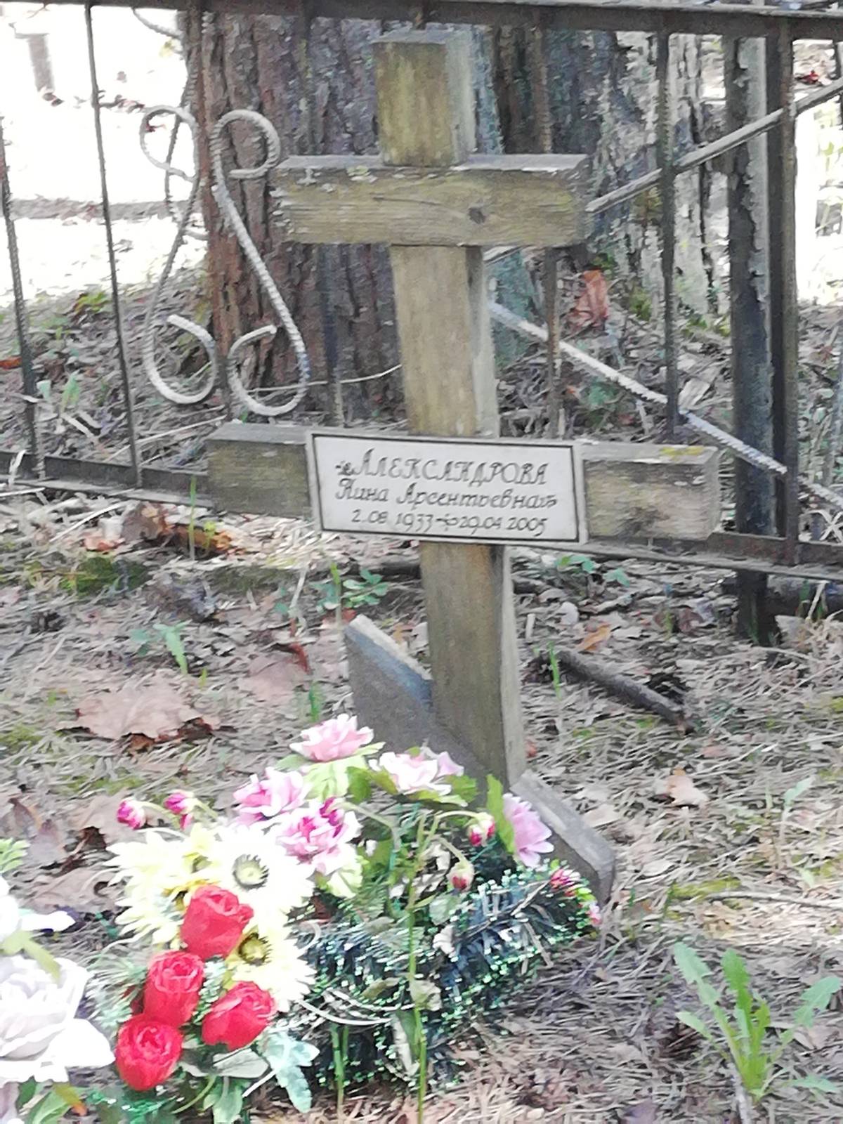 Александрова Нина Арсентьевна