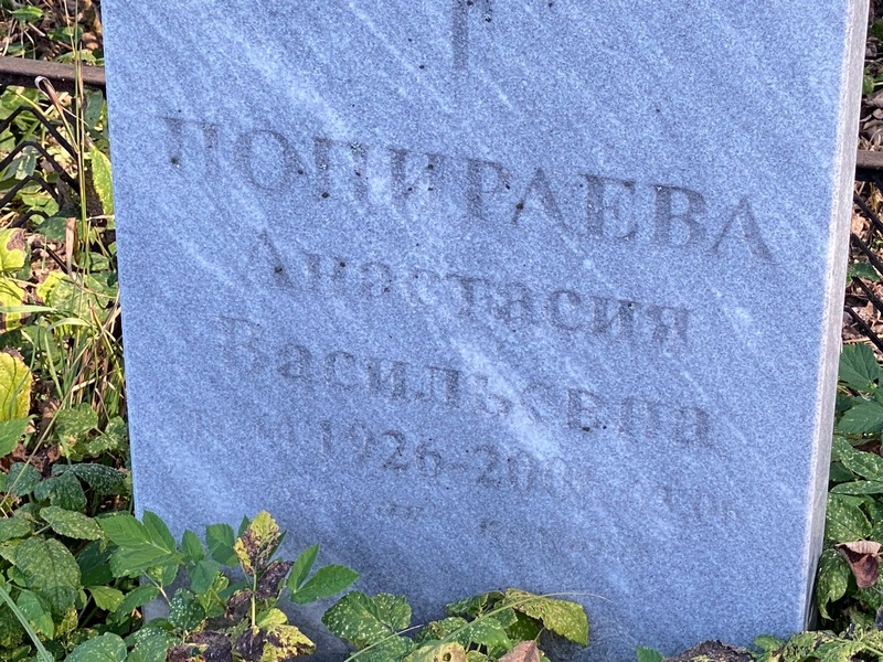 Попираева Анастасия Васильевна
