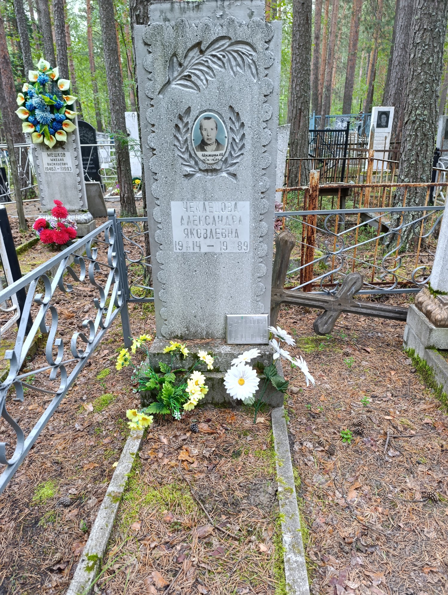 Чеклецова Александра Яковлевна