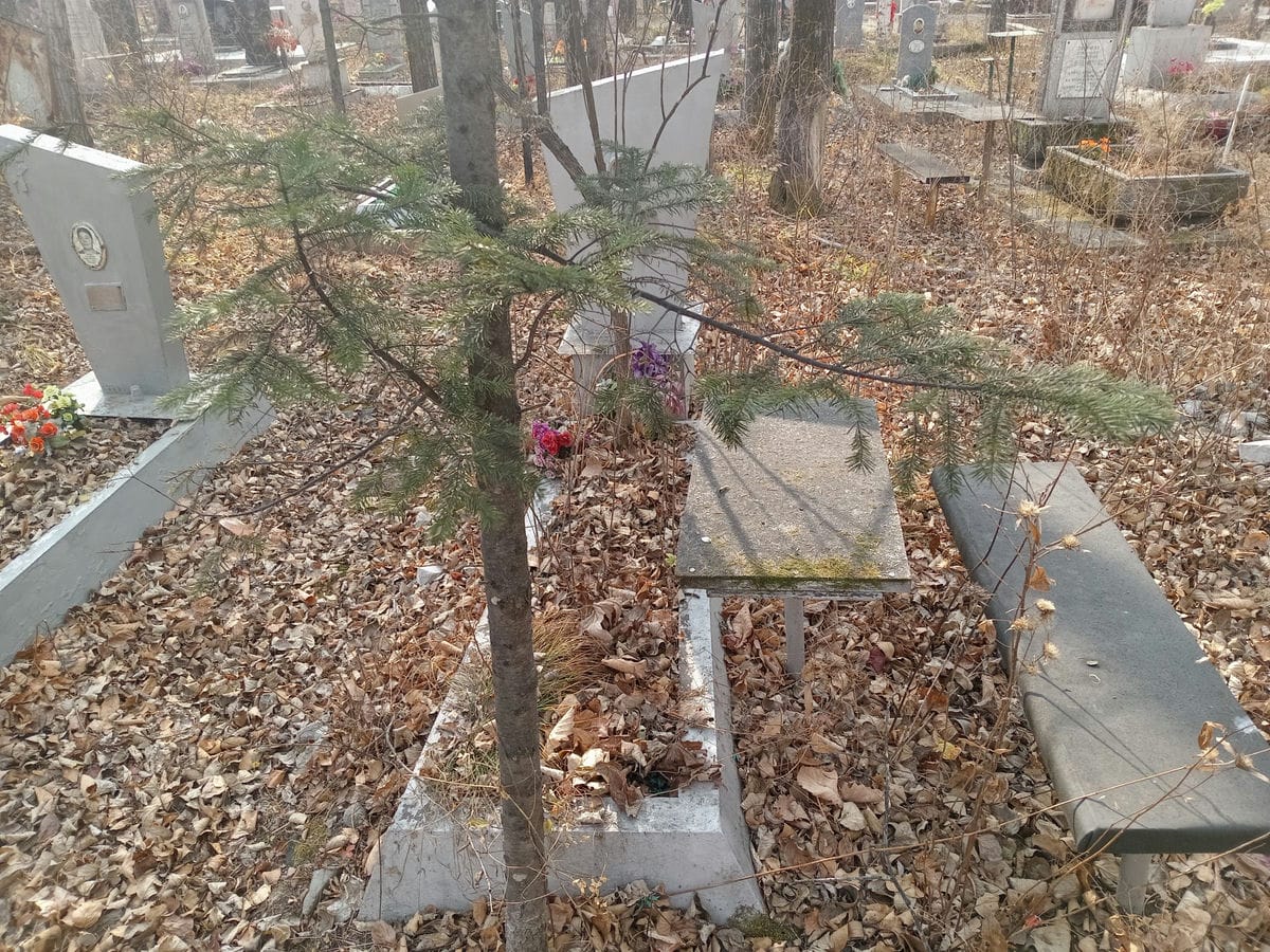 Шитикова Александра Михайловна