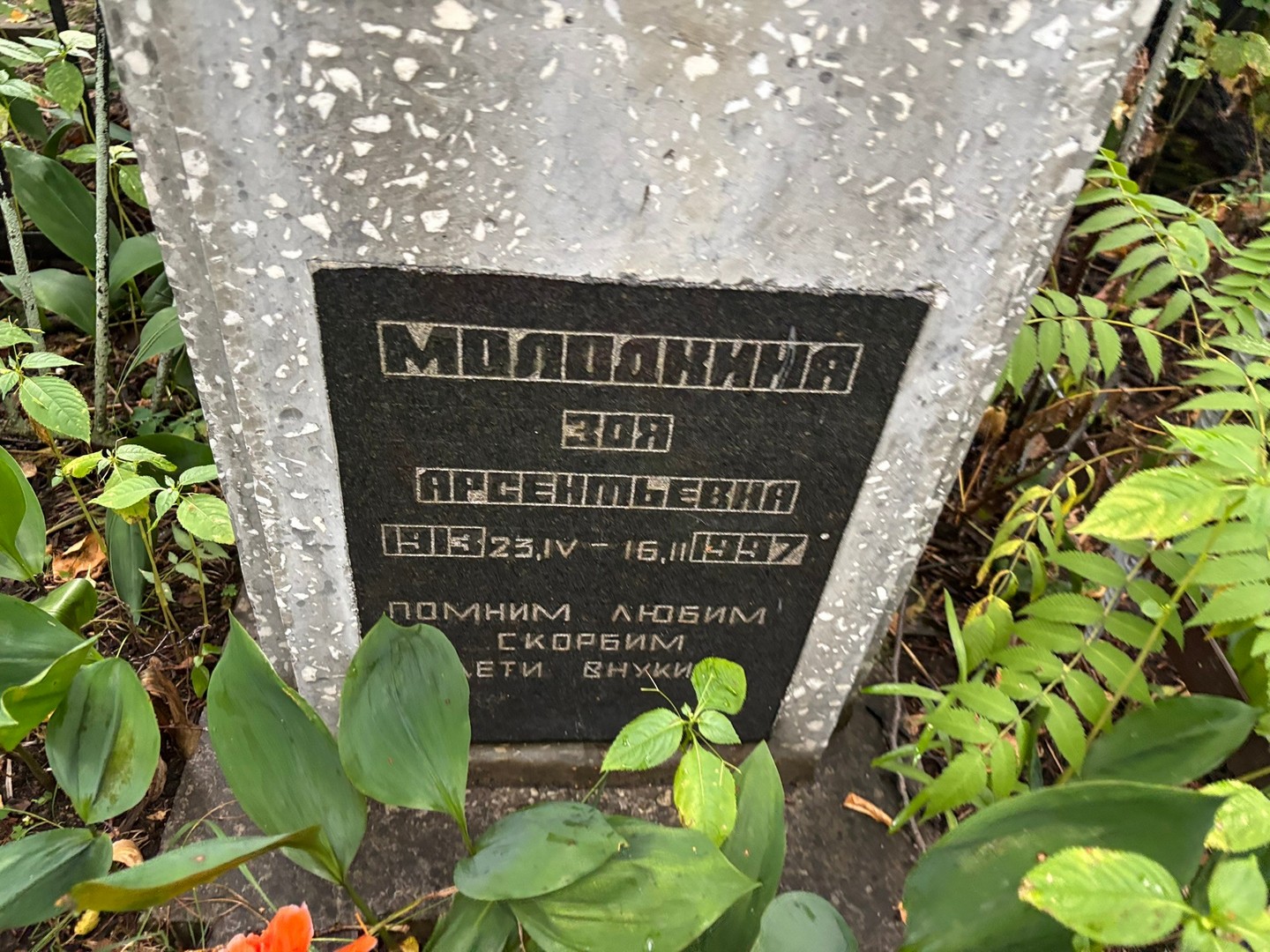 Молодкина
