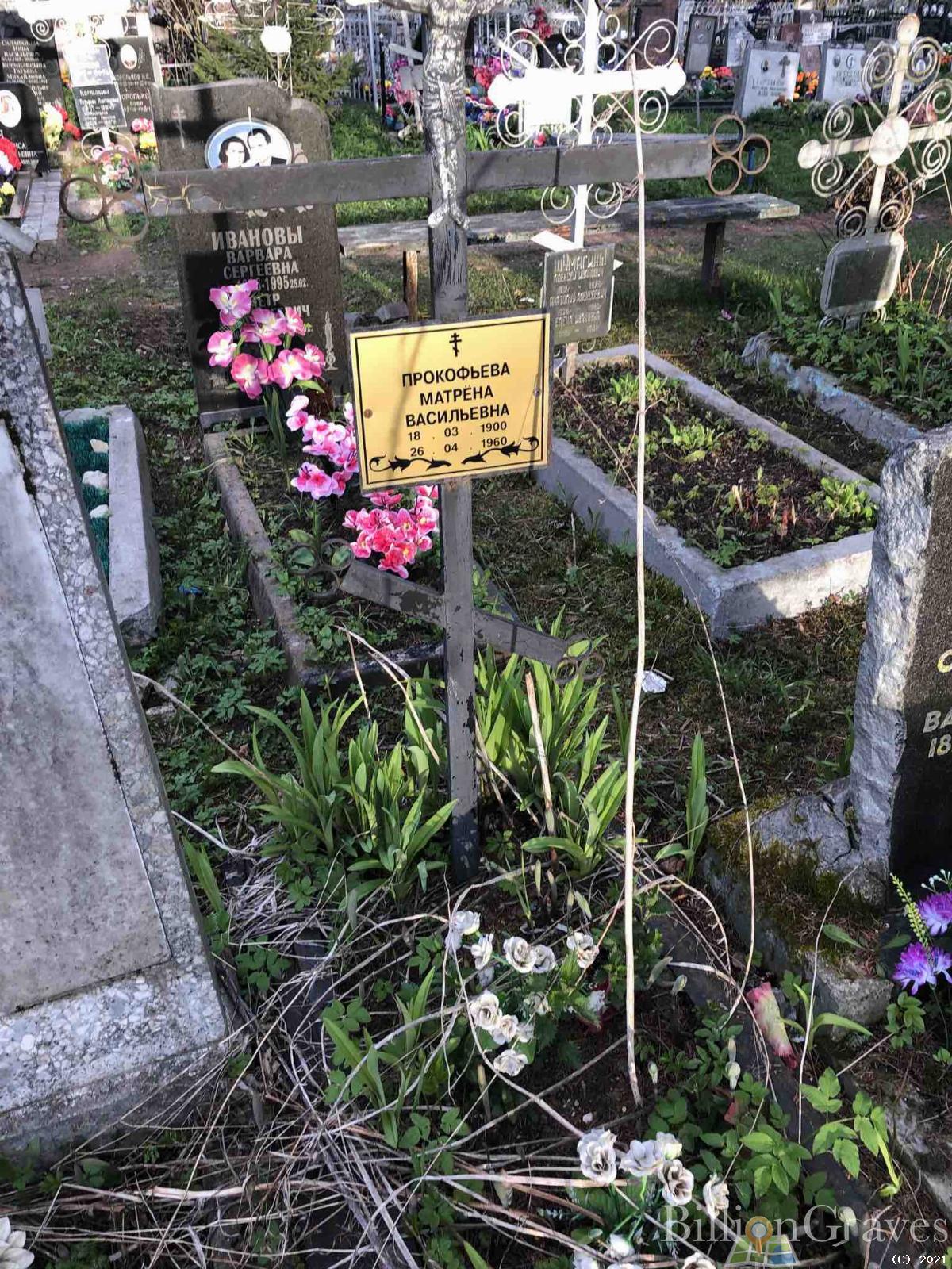 Прокофьева Матрёна Васильевна
