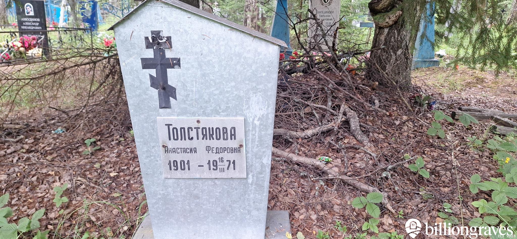 Толстякова Анастасия Федоровна