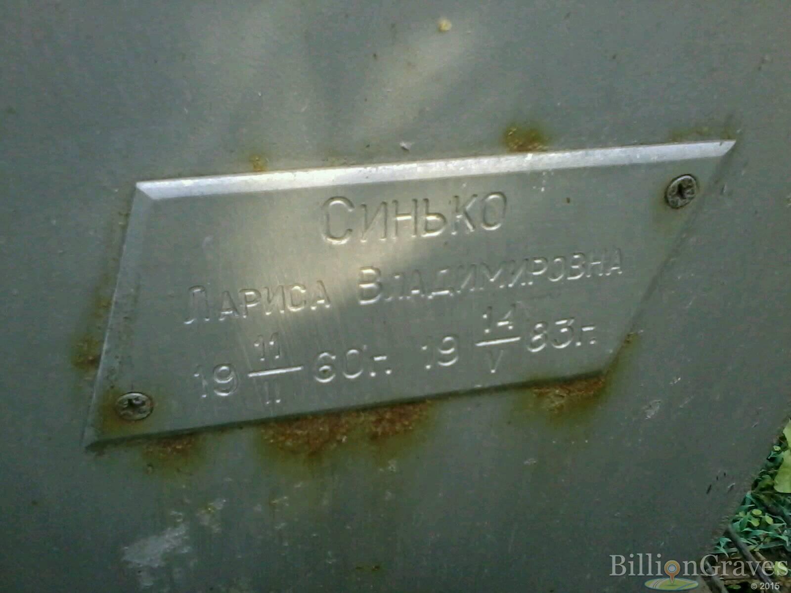 синько лариса владимировна