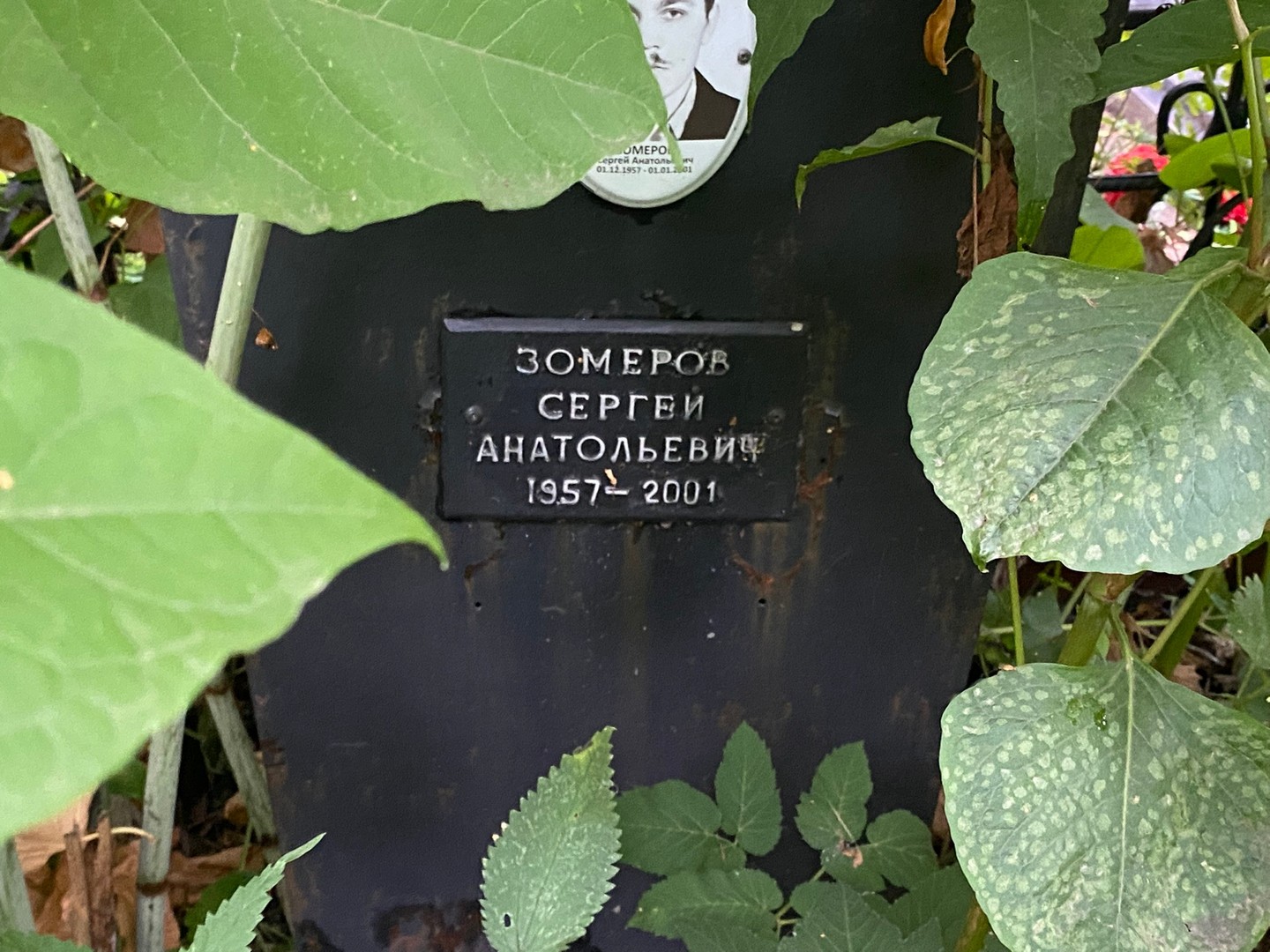 Зомеров