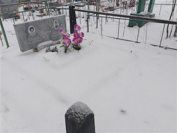 Левин Анатолий Михайлович