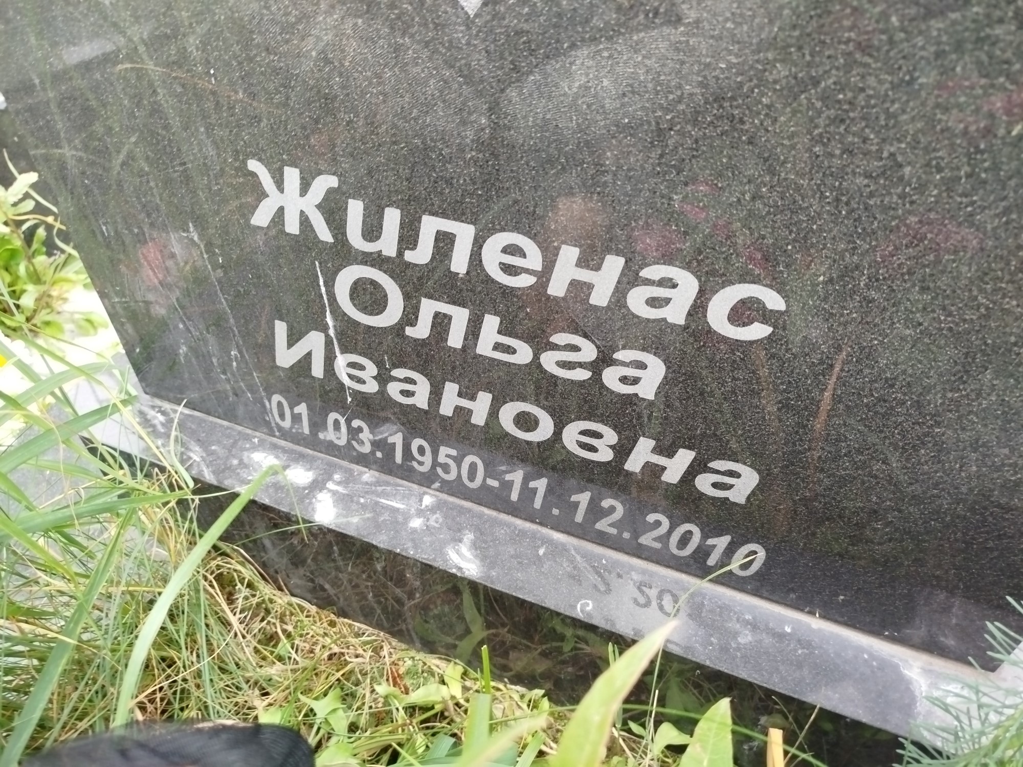 Жиленас Ольга Ивановна