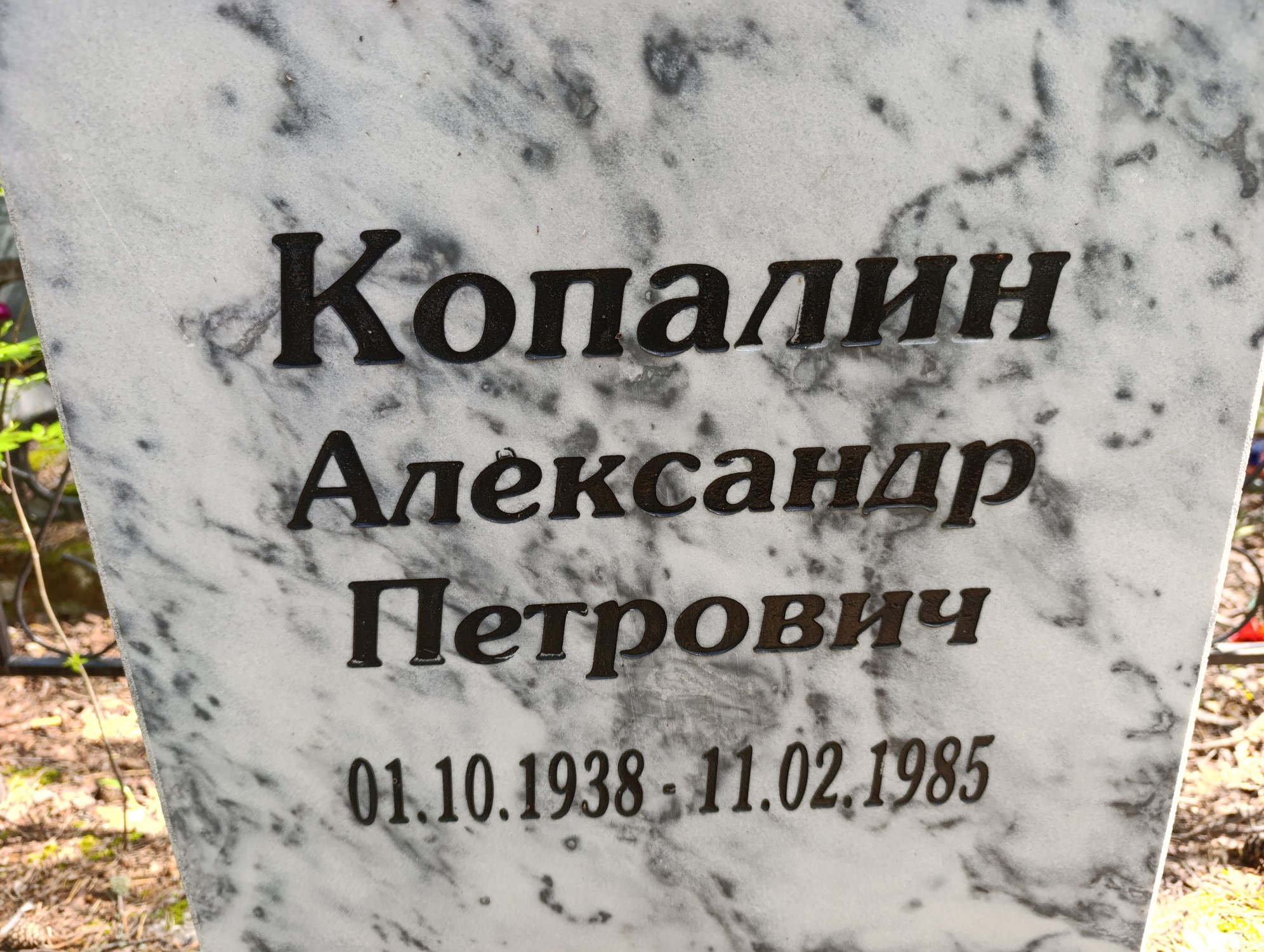 Копалин Александр Петрович