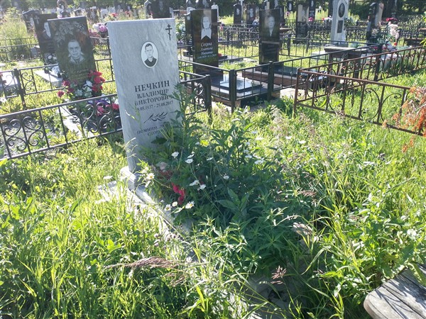 Нечкин Владимир Викторович