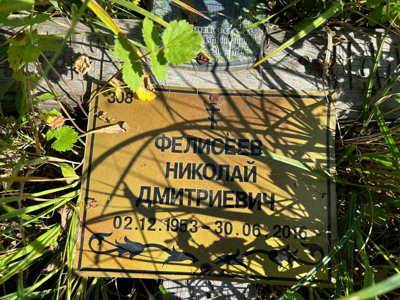 Фелисеев