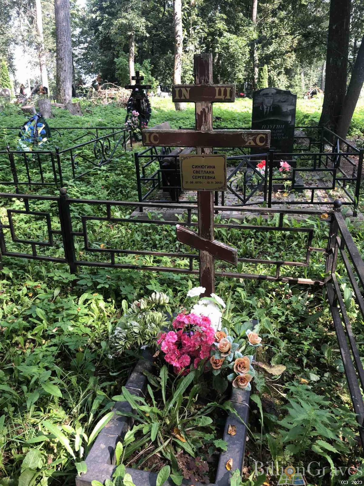 Синюгина Светлана Сергеевна