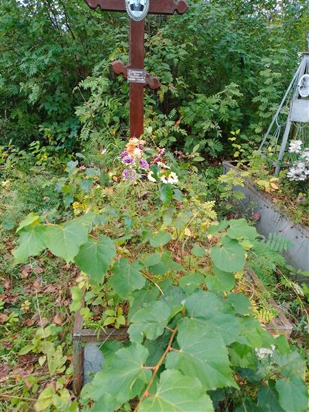 Ушенина (Сергеевна) Анна