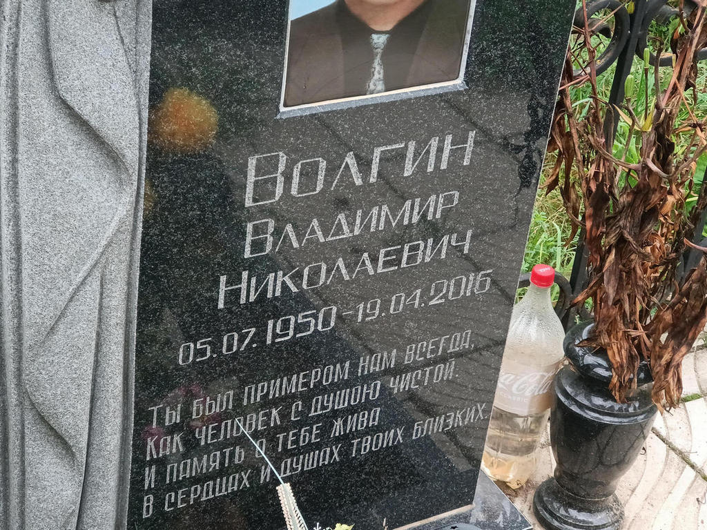 Волгин Владимир Николаевич