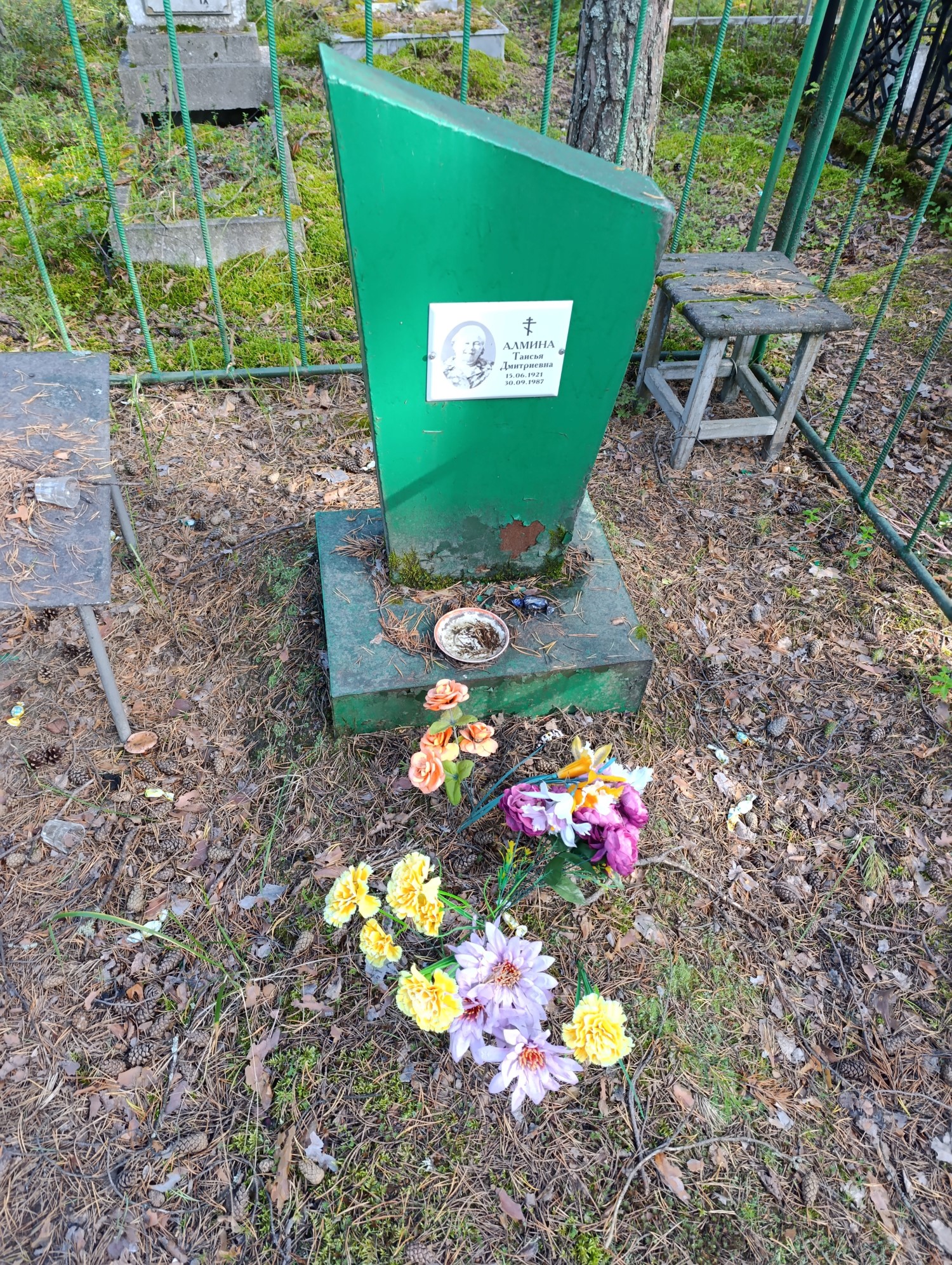 Алмина Таисья Дмитриевна