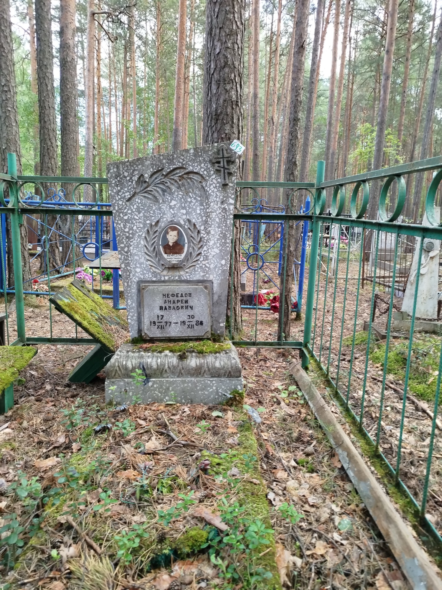 Нефедов Андрей Павлович