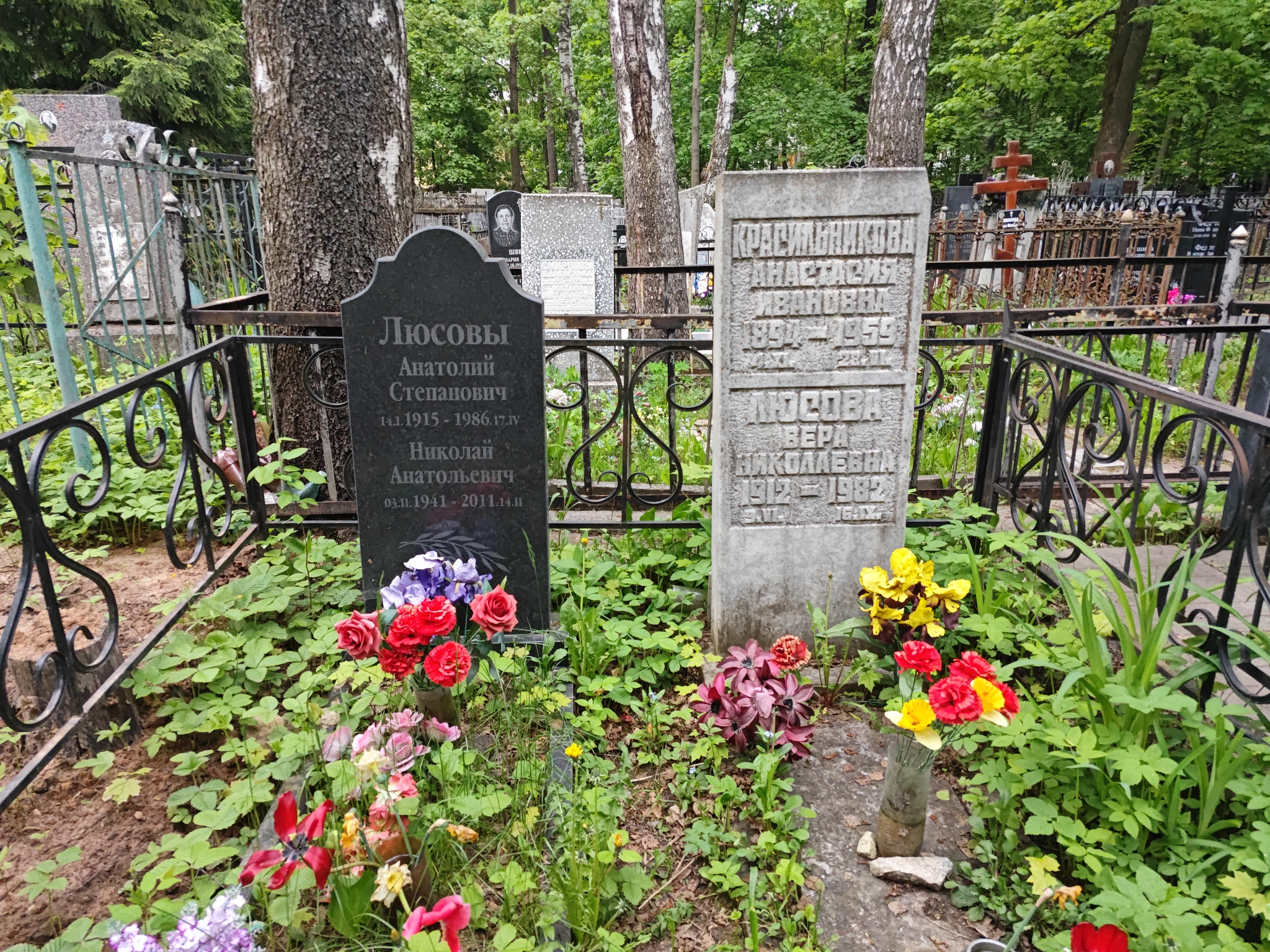 Люсова Вера Николаевна
