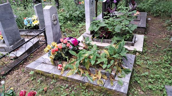 Кирпичникова Мария Васильевна