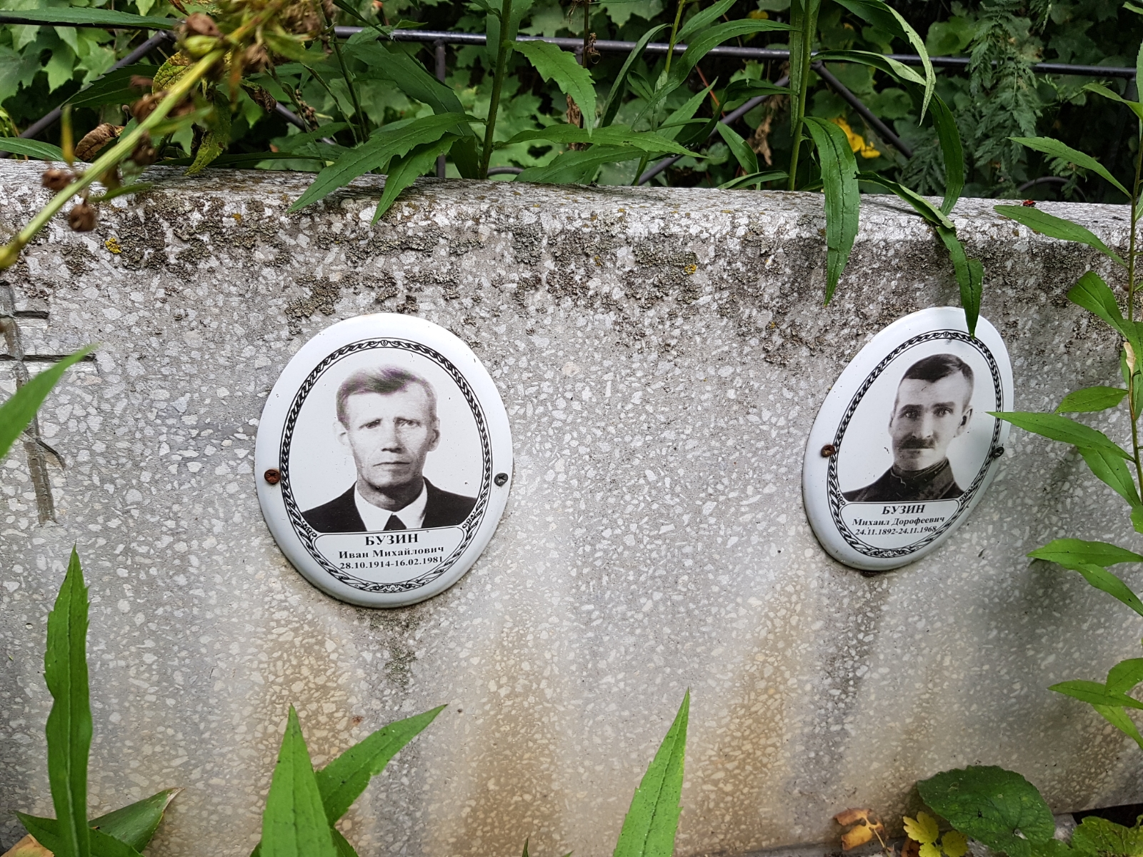 Бузина Надежда Николаевна