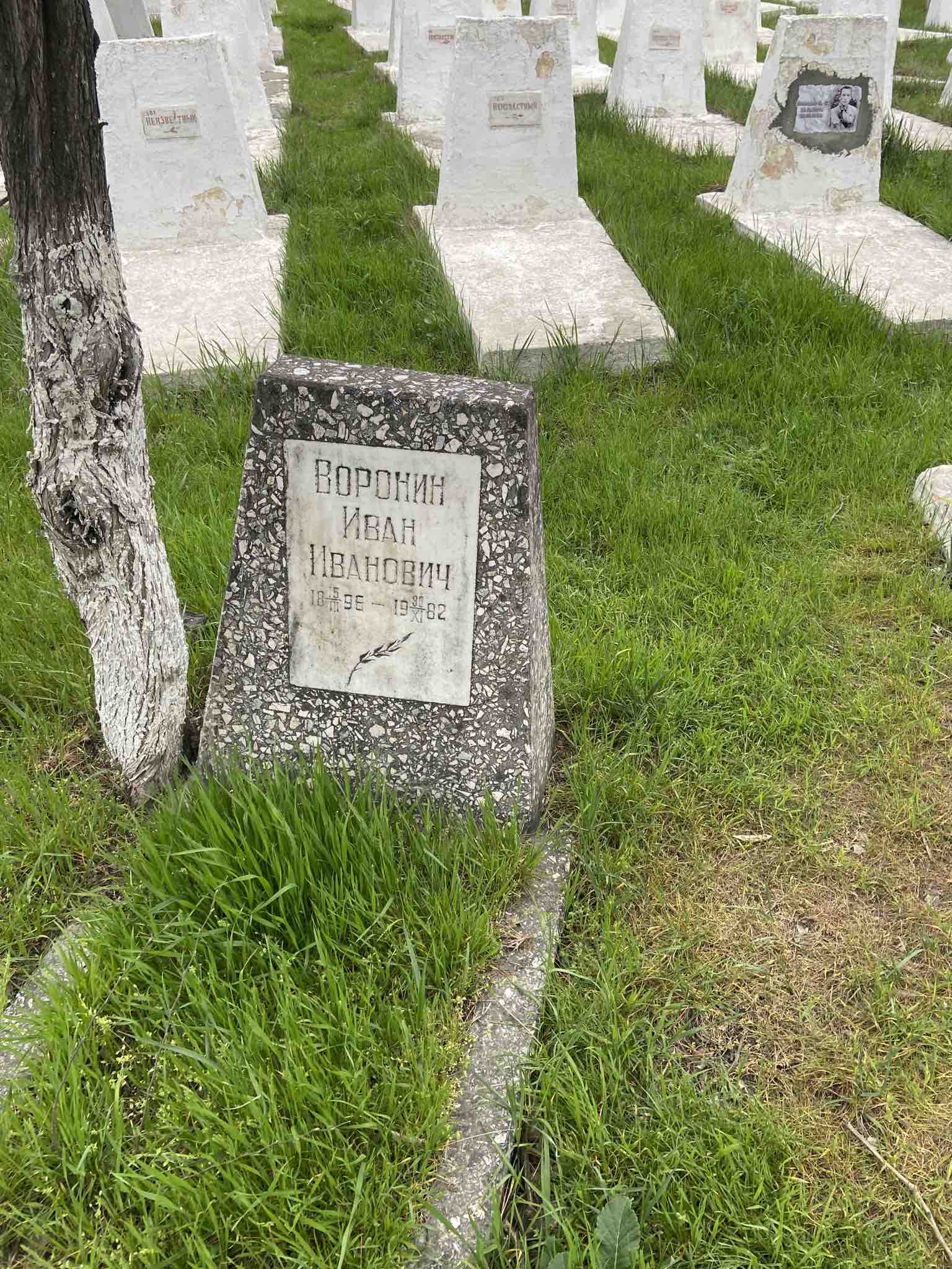 Воронин Иван Иванович